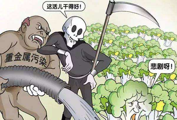 糧食安全如何得到保障？
